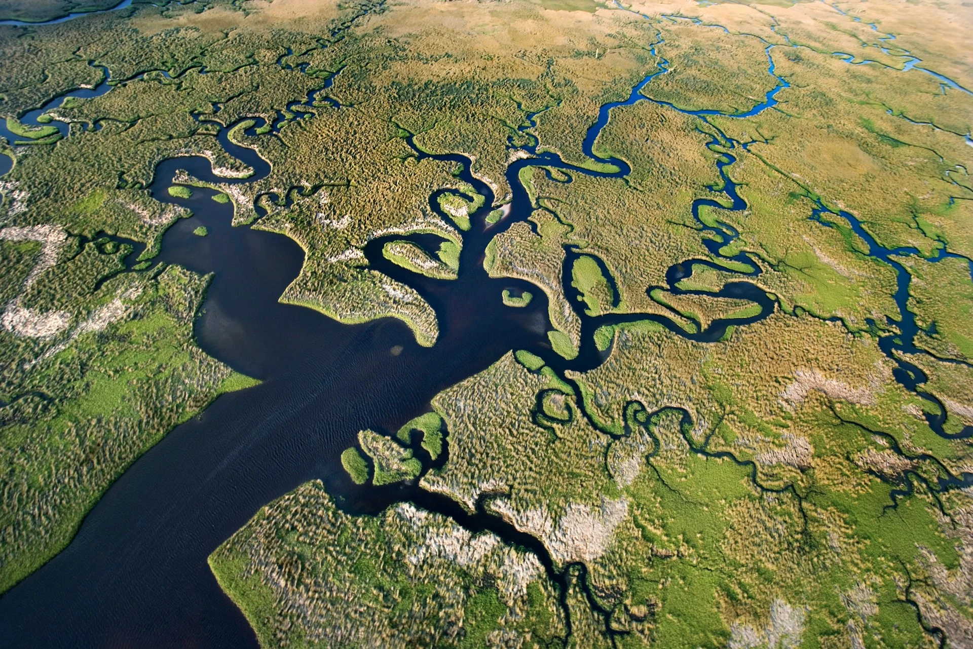 Nile Delta